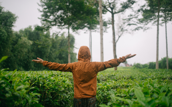 ธรรมชาติกับมนุษย์